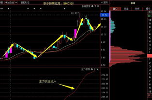 潛力牛股分析 603009 - 上海自貿(mào)區(qū)低價小市值軟件股投資價值解析
